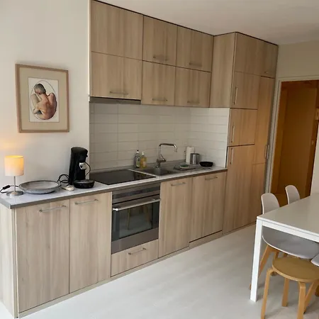 Apartment ,superbe Terrasse 40m2 , Vieux , Centre *