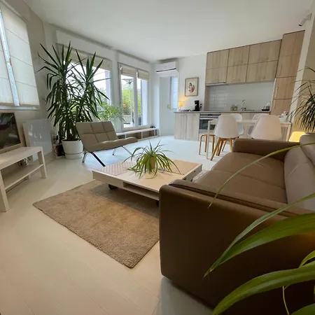 ,superbe Terrasse 40m2 , Vieux , Centre Appartement