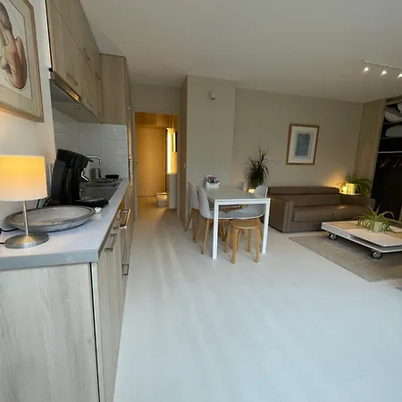 Apartment ,superbe Terrasse 40m2 , Vieux , Centre