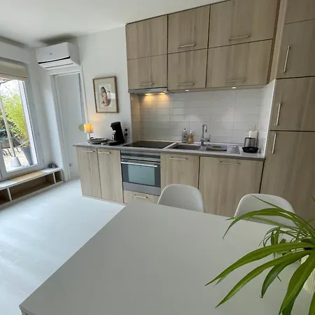 ,superbe Terrasse 40m2 , Vieux , Centre アパート リール